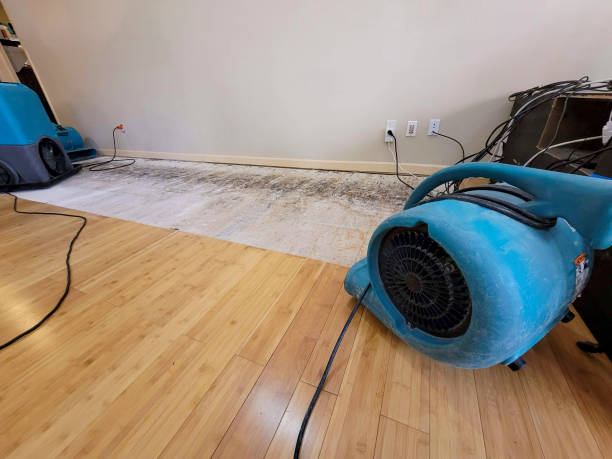 Professional Structural Drying technician working in Edgewood, OH